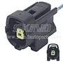 SK-B304